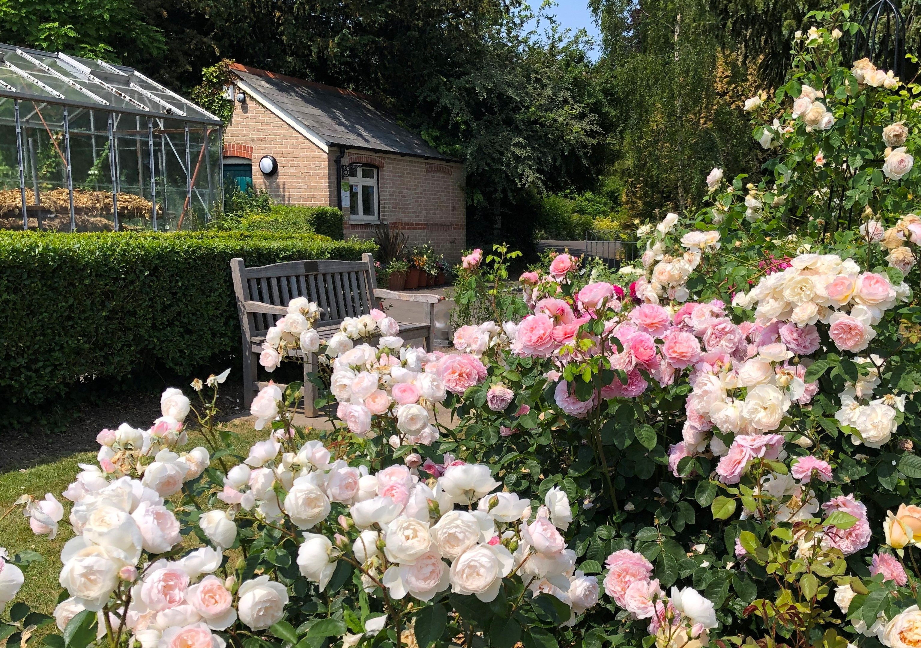 Borough Gardens